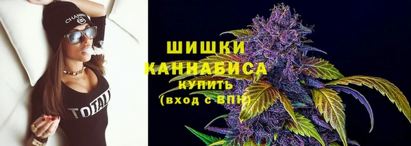 гидра Богородск