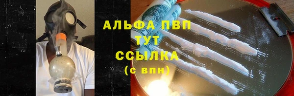 гидра Богородск