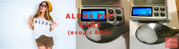 сатива Бородино