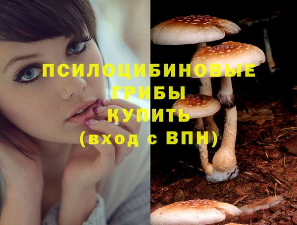 кокаин колумбия Богородицк