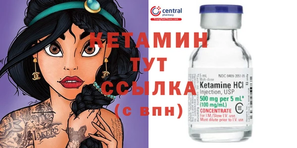 гидра Богородск