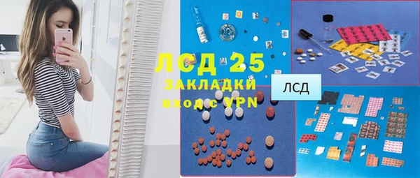гидра Богородск