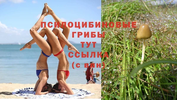 амфетамин Богданович
