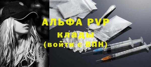 гидра Богородск